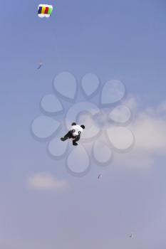 Kites of various forms on a children's holiday at the sea