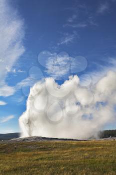 Boiling geothermal geyser in most well-known park of the world - Yellowstone 
national park. More magnificent pictures from the American and Canadian National parks you can look hundreds in my portfol