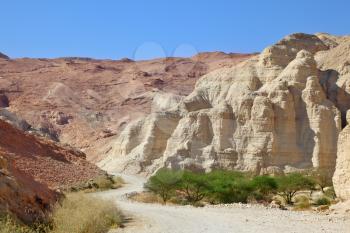 The warm winter morning. Canyon in the mountains of the ancient Dead Sea. 