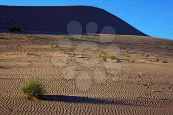 Gentle morning shadows magnificent sand dunes of Eureka