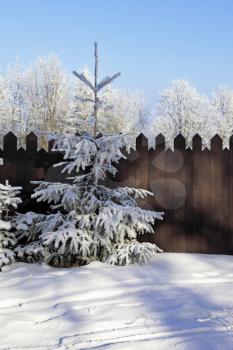 A snowy winter morning in the Tatras. Forest and the high wooden fence