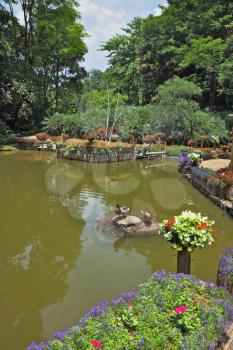 Wonderful quiet pond in the green tropical park. The pond is surrounded by flower beds