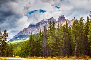 Beautiful nature of the Rocky Mountains of Canada. Evergreen coniferous forests, majestic mountains and the turned yellow autumn bushes