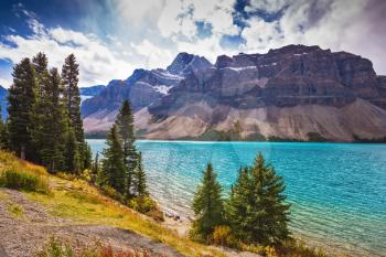 The majestic mountain glacial Bow Lake with green water. The lake is surrounded by pine trees. Banff National Park in the Canadian Rockies