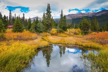 Snow-covered mountains and the turned yellow autumn grass around the Bow Lake .