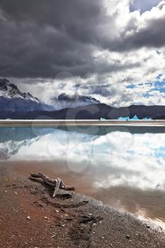 Dry driftwood on the sandy beach. Bright reflections of sky and clouds in the smooth cold water of Lake Grey. Chilean Patagonia, National Park Torres del Paine