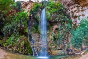  Falls Shulamit falls into a shallow pond with emerald water. Ein Gedi - Nature Reserve and National Park, Israel