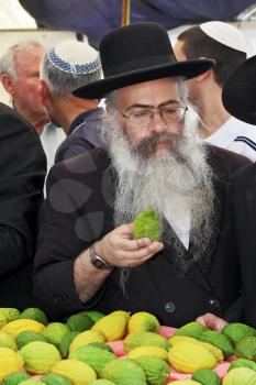 JERUSALEM, ISRAEL - SEPTEMBER 18, 2013: Traditional market before the holiday of Sukkot. The religious Jew with a long gray beard and sidelocks very carefully examines ritual citrus - etrog