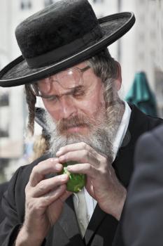 JERUSALEM, ISRAEL - SEPTEMBER 18, 2013: Traditional market before the holiday of Sukkot.  Religious Jew with a gray beard and sidelocks beard very carefully examines ritual citrus - etrog