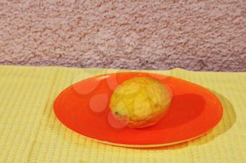 Jewish holiday of Sukkot. Ritual fruit - citron on orange plate and yellow napkin