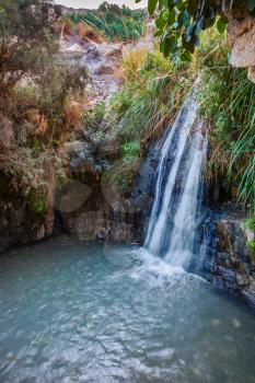 Beautiful waterfall and small scenic lake with clear water. Walk in the national park Ein Gedi, Israel