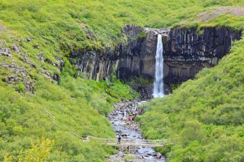  Black basalt columns frame the water jet. Picturesque waterfall Svartifoss in Skaftafell National Park of Iceland