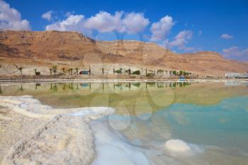 Shores of the Dead Sea in Israel. Path of evaporated salt. Along the shore with palm trees, which are reflected in the water