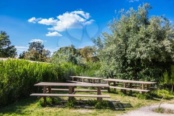 Superb area for a picnic. Green bushes and tables with benches