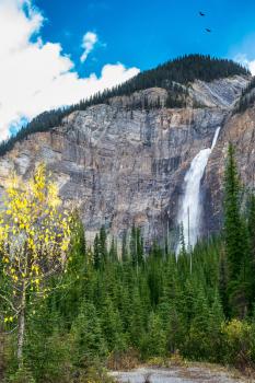 The falls Takakkaw formed by thawing of glacier Daly. Autumn day in Yoho National Park in the Rocky Mountains of Canada