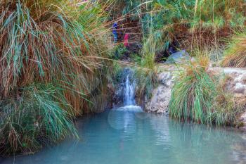 The picturesque waterfall and small deep lake with emerald water. Walk in the Ein Gedi Nature Reserve