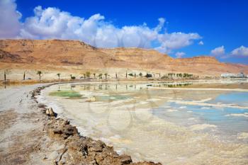 Shores of the Dead Sea in Israel. Path of evaporated salt. Along the shore with palm trees, which are reflected in the water