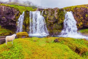 Iceland - a country of mountains, rivers and waterfalls. Threaded full-flowing waterfall on the grassy mountains