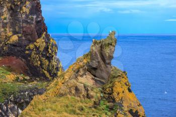 Magnificent Iceland. Northern coast of Atlantic. The ancient rocks covered with  green and yellow moss