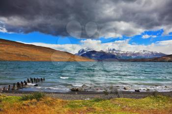 Boat dock on the lake at the Laguna Azul. National Park Torres del Paine in Patagonia, Chile