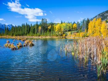 Indian warm summer on the lake Vermillon. Concept of ecotourism. Canadian province of Alberta, the Rocky Mountains, Banff
