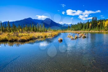 Sunny day in the Canadian Rockies. Shallow Lake Vermilion among the autumn forests
