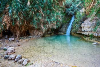Beautiful waterfall and small scenic lake with clear water. The national park Ein Gedi, Israel