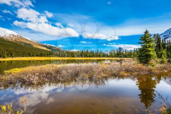 Swamp in the valley of the Rocky Mountains. Clouds are reflected in water. Autumn in Canada. The concept of ecotourism