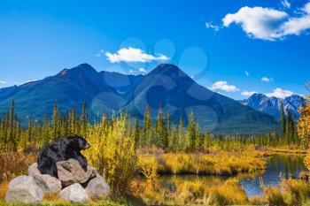 The huge black bear has a rest on stones at the lake. Indian summer in the Rocky Mountains of Canada. Concept of ecological tourism