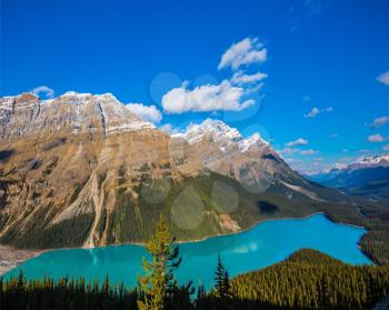 Picturesque Lake Peyto in Banff National Park. Turquoise water and bizarre form shores give the lake popular with tourists