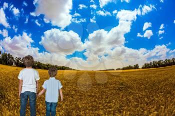 Two boys holding hands and looking at the wheat field. Israel spring