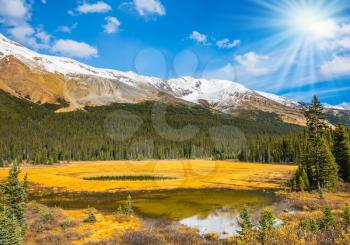 Waterlogged valley in the Canadian Rockies. Bright sunny day. The concept of an active and eco-tourism