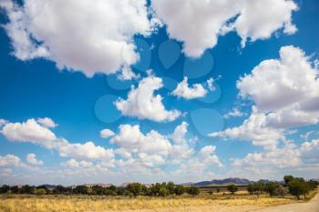 Travel to Namibia.The concept of exotic tourism. Dirt road in the African steppe. The sky flying white light clouds
