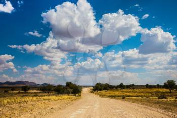 Dirt road in the African steppe. Along the road grow lush green trees. Travel to Namibia. The concept of exotic tourism