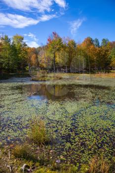  Small  lake in safari - park Omega. Red and orange autumn foliage in French Canada