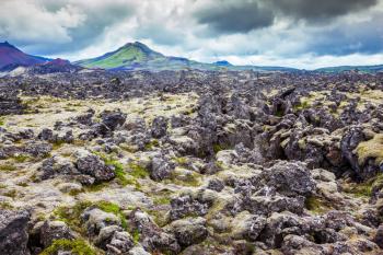 Gloomy Iceland in the summer. Fields covered with lava, in the central part of the island