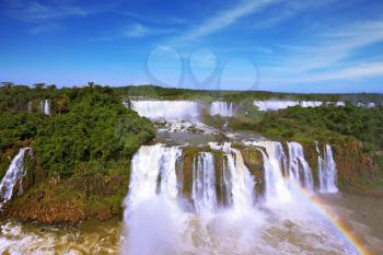 Roaring falls in South America - Iguazu. Foamy streams fall between the green jungle. The magnificent rainbow is shone in a water dust