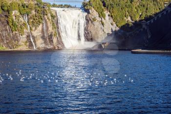 The concept of active and cultural tourism. Many water birds resting in water. The vast blue lake and powerful waterfall Montmorency in Montmorency Falls Park, in vicinities Quebec