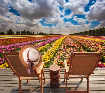 Concept of ecological tourism. Rural rest. Wooden chaise lounges  in the meadow with flowers. An elegant straw women's hat on a back a chaise lounge
