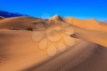 Mesquite Flat Sand Dunes. Bright sunny morning in a picturesque part of Death Valley, USA.  Thin waves on the sand 