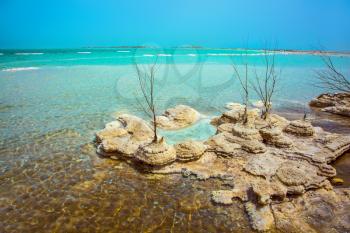 Picturesque islands of medicinal salt in the lake. Israel, spring. Forever Living Dead Sea. The concept of ecological and therapeutic tourism