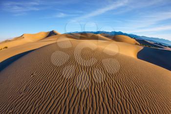 Sand dunes are covered with small ripples. Mesquite Flat Sand Dunes. Bright sunny morning in a picturesque part of Death Valley, USA