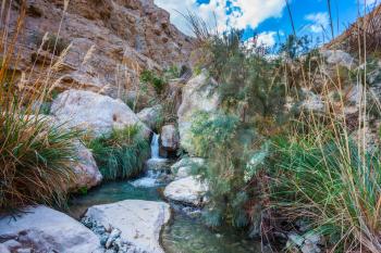 The picturesque stony gorge with noisy falls and transparent fast stream. Ein-Gedi - the reserve of Israel