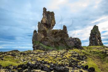 Magnificent Iceland. Northern coast of Atlantic. The ancient rocks covered with a green and yellow moss