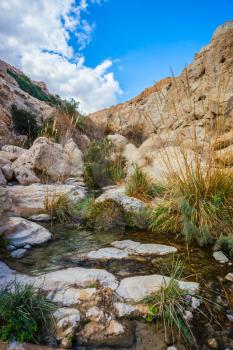  The stream of cold pure water flows through the beautiful gorge Ein Gedi, Israel.  Typical landscape of the Middle East