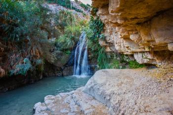 The national park Ein Gedi, Israel. Beautiful waterfall and small scenic pond with clear water