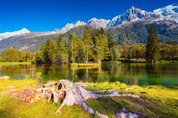  The mountain resort of Chamonix, Haute-Savoie. City Park is illuminated by sunset. The lake reflected the snow-capped Alps and evergreen spruce