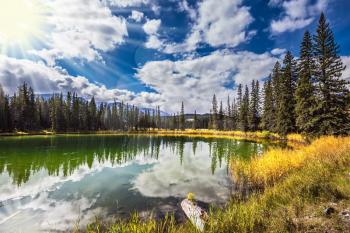 Great morning sun is reflected in the smooth water. On shores of the lake grow coniferous forests. Jasper National Park in the Rocky Mountains 