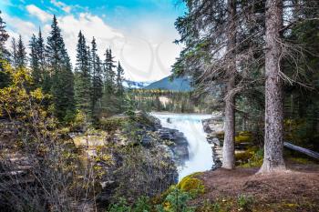 Clear autumn evening in Canada. The bubbling waterfall of Athabasca among the forest of Jasper Park. Cold blue water at sunset. The concept of extreme and ecological tourism