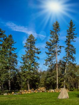  Walk on the park in warm silent day. Cirrus clouds and autumn sun in Pinawa Provincial Heritage Park. The concept of ecological and recreational tourism